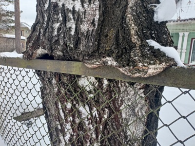 ул. Сахарова-05.jpg